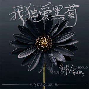 Dengarkan lagu 我独爱黑菊 (伴奏) nyanyian 雪球 dengan lirik