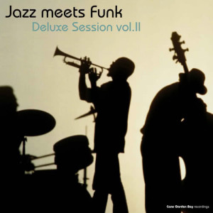 Various Artists的專輯Jazz Meets Funk Deluxe Session, Vol. 2 