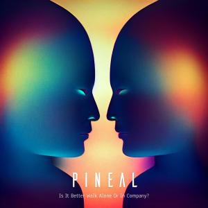 Listen to Is It Better Walk Alone Or In Company? (Explicit) song with lyrics from Pineal