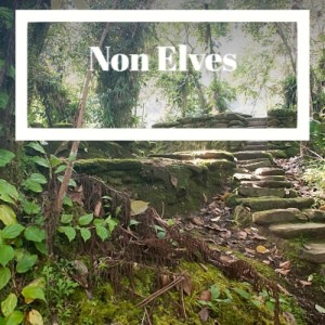 ดาวน์โหลดและฟังเพลง Merry Christmas Elvis พร้อมเนื้อเพลงจาก Michele Cody