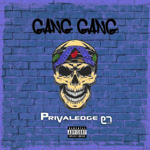 Privaledge的專輯Gang Gang (Explicit)