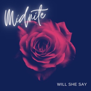 Listen to Will She Say song with lyrics from Midnite