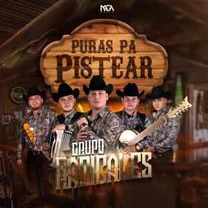 Listen to Vida Mafiosa (En vivo) song with lyrics from Grupo Radicales