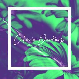 收聽flywtwo的Calm In Darkness歌詞歌曲