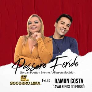 ดาวน์โหลดและฟังเพลง Pássaro Ferido พร้อมเนื้อเพลงจาก Socorro Lima