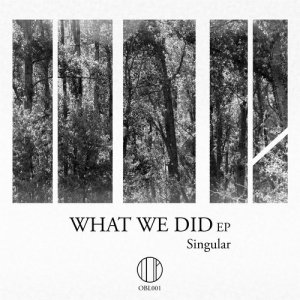 ดาวน์โหลดและฟังเพลง What We Did (Original Mix) พร้อมเนื้อเพลงจาก Singular (Esp)