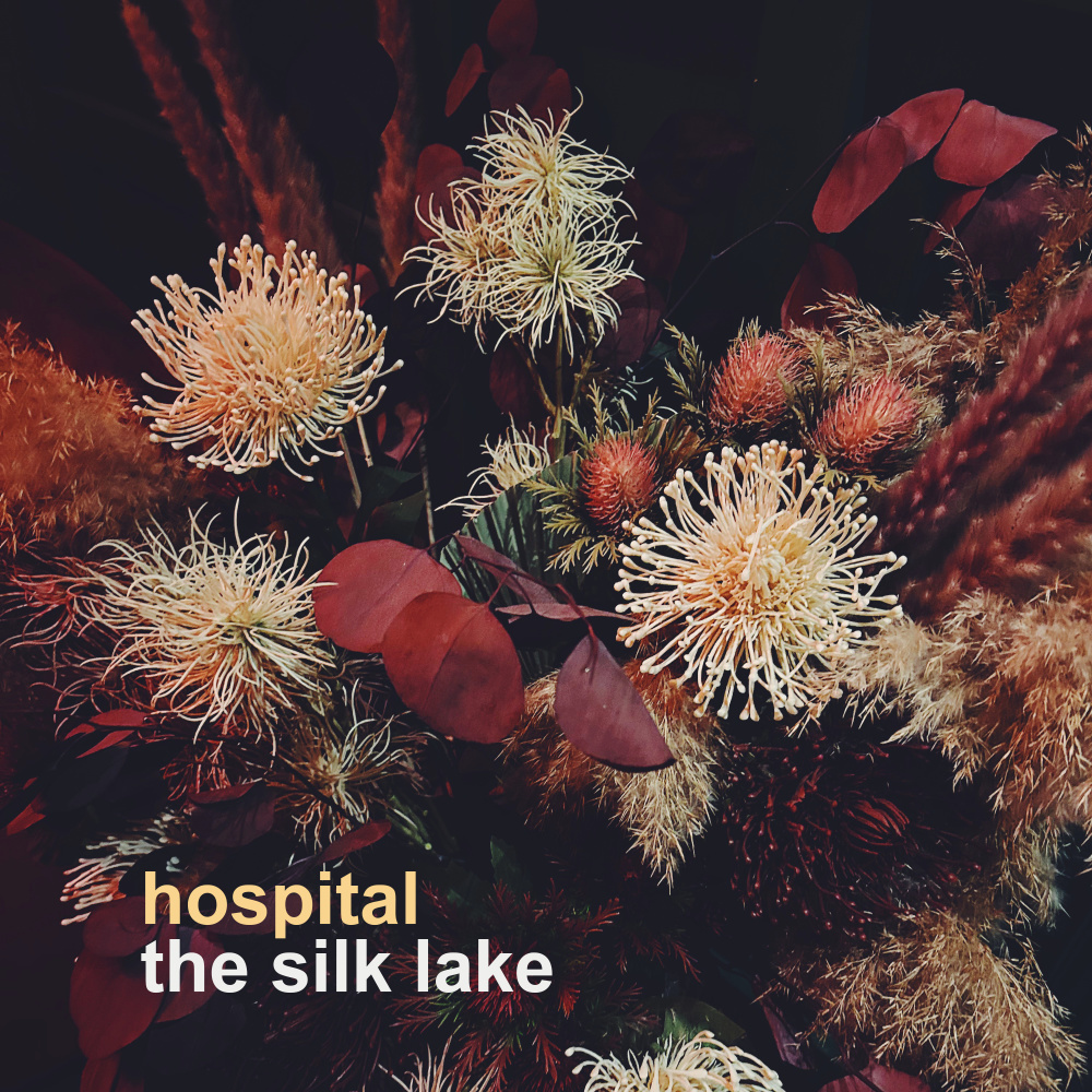 The Silk Lake