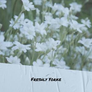 Listen to Fell Of song with lyrics from Gris Endre