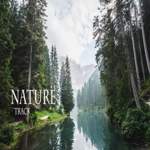 收聽Stefano De Siena的Nature Track歌詞歌曲