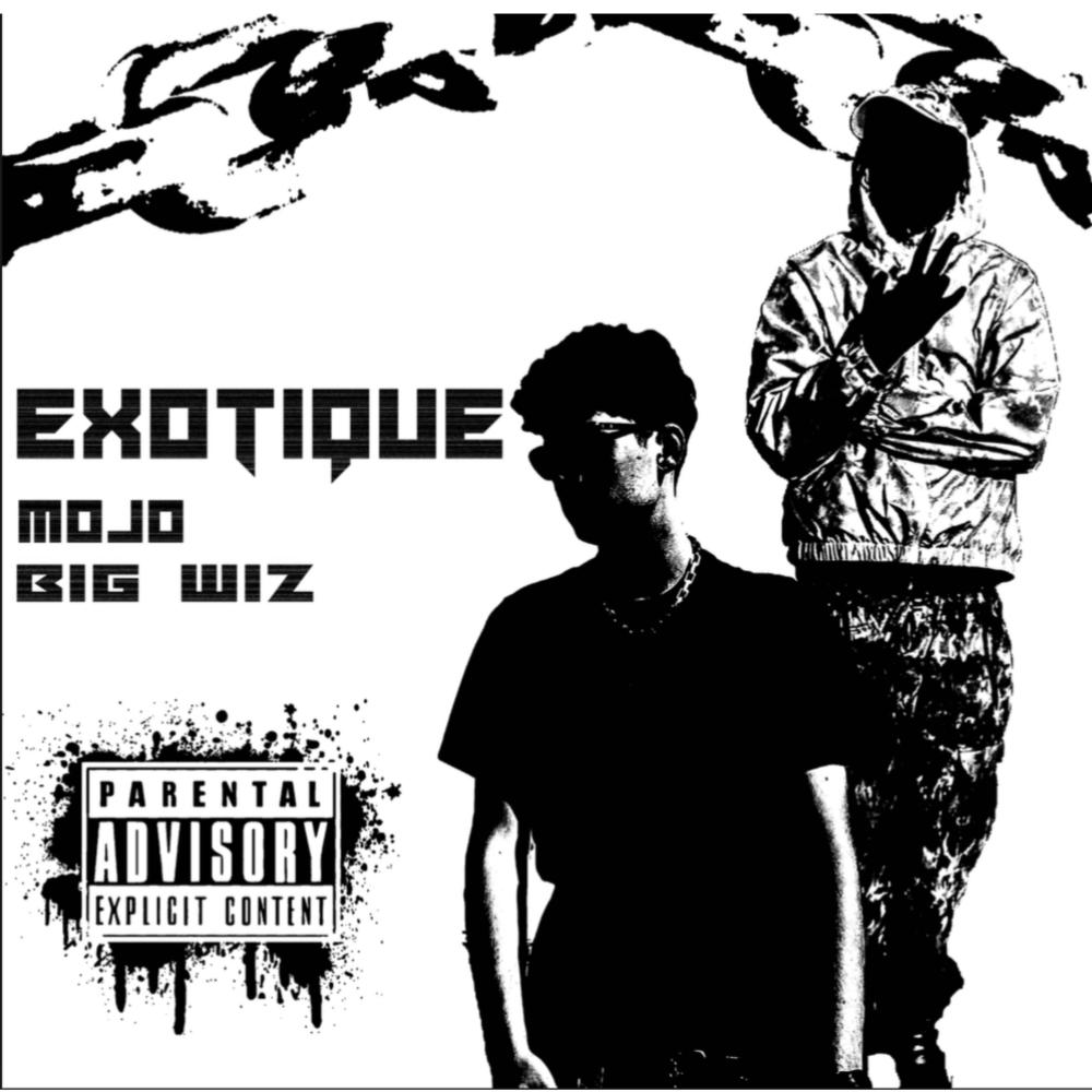Exotique (feat. Mojo) (Explicit)