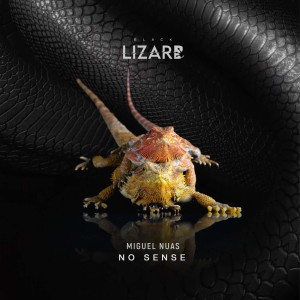 ดาวน์โหลดและฟังเพลง No Sense พร้อมเนื้อเพลงจาก Miguel Nuas