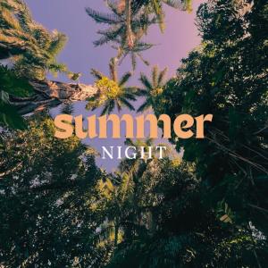 Lexie Hayden的專輯Summer Night
