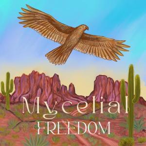 收聽Mycelial的Morning Light (feat. Evan Hatfield)歌詞歌曲