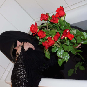 Listen to Shake (Explicit) song with lyrics from Fevar