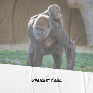 收听Ladan Ning的Jol Set歌词歌曲