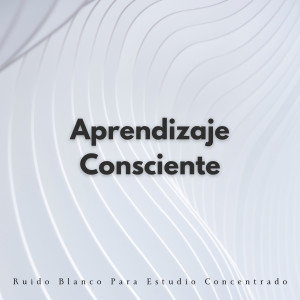 Aprendizaje Consciente: Ruido Blanco Para Estudio Concentrado dari Ruido Blanco Para Estudiar