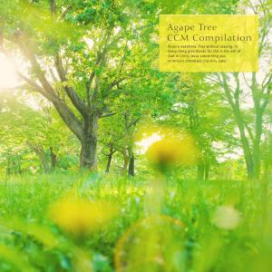 Listen to A True Prayer song with lyrics from Flower of love