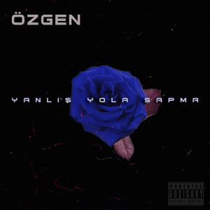 Album Yanlış Yola Sapma from Özgen
