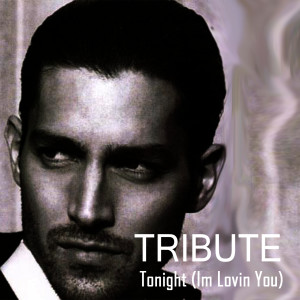 ดาวน์โหลดและฟังเพลง Tonight (I'm Lovin' You) {Enrique Iglesias Tribute} (Instrumental) พร้อมเนื้อเพลงจาก True Stars
