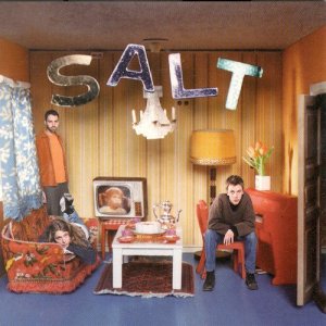 收聽Salt的Witty歌詞歌曲