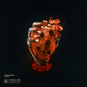 ดาวน์โหลดและฟังเพลง Srdce na tvý dlani (Explicit) พร้อมเนื้อเพลงจาก Adam Mišík