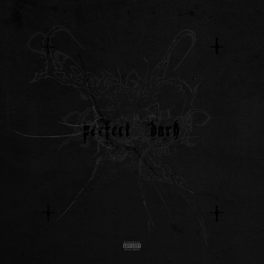 PERFECT DARK (Explicit)