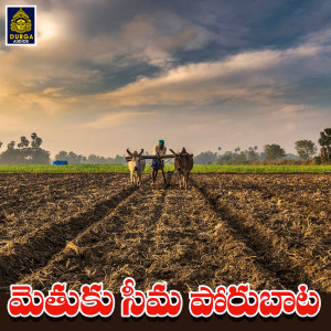 Listen to Anna Inkemi Chesthav song with lyrics from Prasad