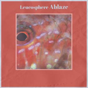 Listen to Injury Everglades song with lyrics from Aine Hatce