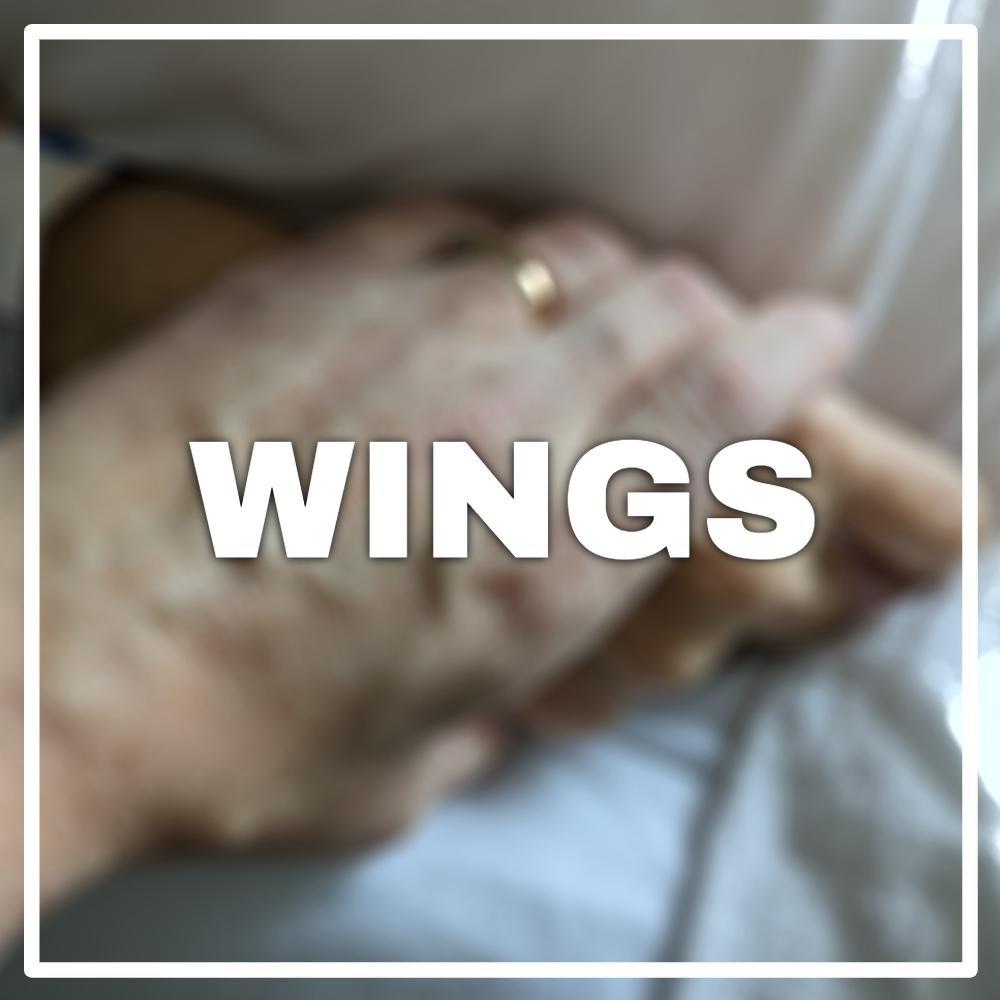 Wings (Explicit)