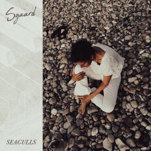 Album Seagulls from Sgaard
