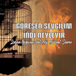 Listen to Göresen Sevgilim İndi Neyleyir (Remix) song with lyrics from Zarina Buzovnali