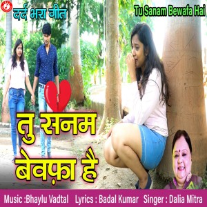 收聽Dalia Mitra的Tu Sanam Bewafa Hai歌詞歌曲