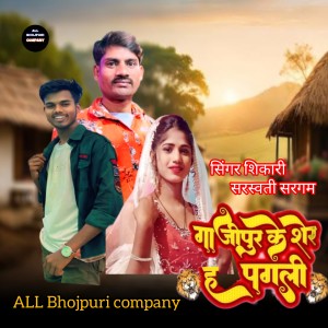 Album Gazipur Ke Sher Ha Pagali from Shikari