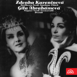 ดาวน์โหลดและฟังเพลง "Šárka's Aria" พร้อมเนื้อเพลงจาก Brno Janáček Opera Orchestra