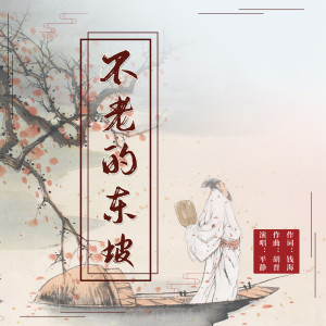 Album 不老的东坡（2024） from 平静
