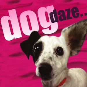 Hiroki Sakaguchi的專輯Dog Daze