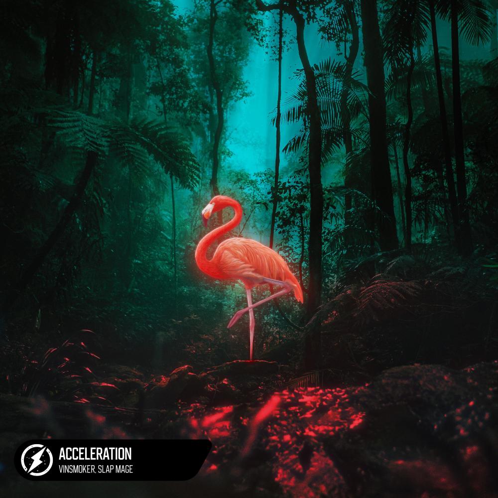 Acceleration (Explicit)