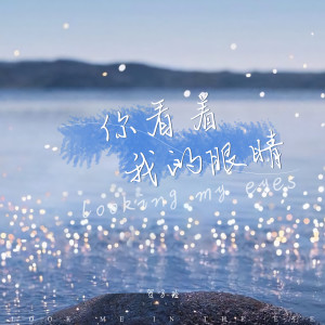 ดาวน์โหลดและฟังเพลง 你看着我的眼睛 พร้อมเนื้อเพลงจาก 贺子玲