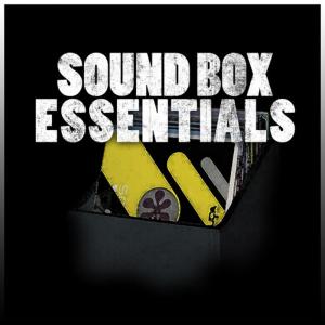 อัลบัม Sound Box Essentials Platinum Edition ศิลปิน Pat Kelly