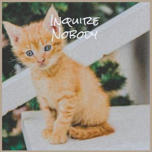 Album Inquire Nobody from Various