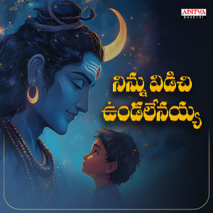 Listen to Ninnu Vidichi Undalenayya song with lyrics from RG Sarathee