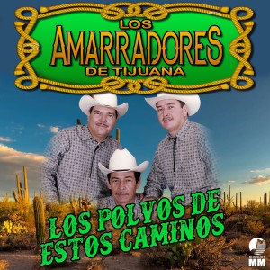 ดาวน์โหลดและฟังเพลง Pobre Gorrión พร้อมเนื้อเพลงจาก Los Amarradores De Tijuana