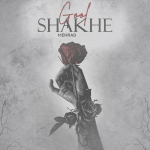 收听Mehrad的Shakhe Gool歌词歌曲