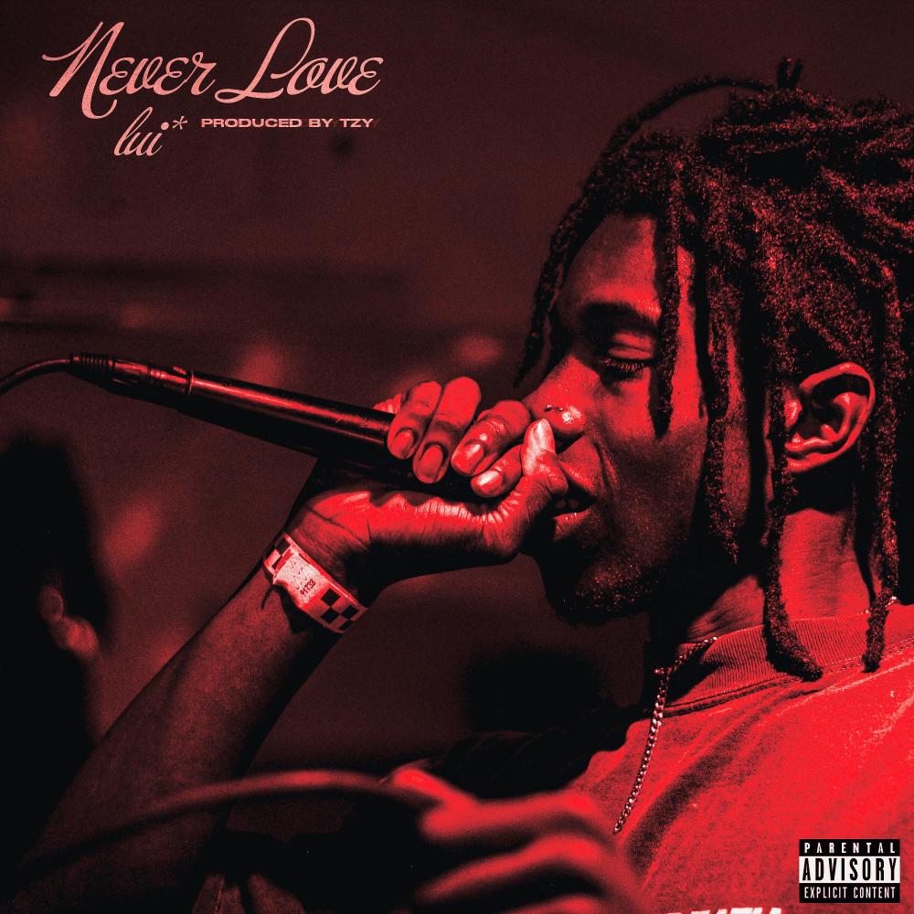 Never Love (feat. lui*) (Explicit)
