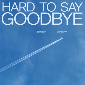 Listen to Hard to Say Goodbye song with lyrics from Johnny Stimson