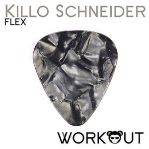 Killo Schneider的专辑Flex