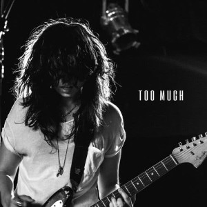 ดาวน์โหลดและฟังเพลง Too Much พร้อมเนื้อเพลงจาก Tatiana DeMaria