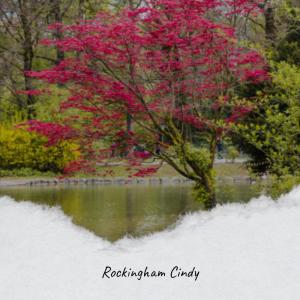 Various Artist的專輯Rockingham Cindy