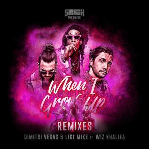 收聽Dimitri Vegas & Like Mike的When I Grow Up  (Sikdope Remix)歌詞歌曲