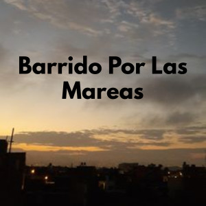 Album Barrido Por Las Mareas from Rels B